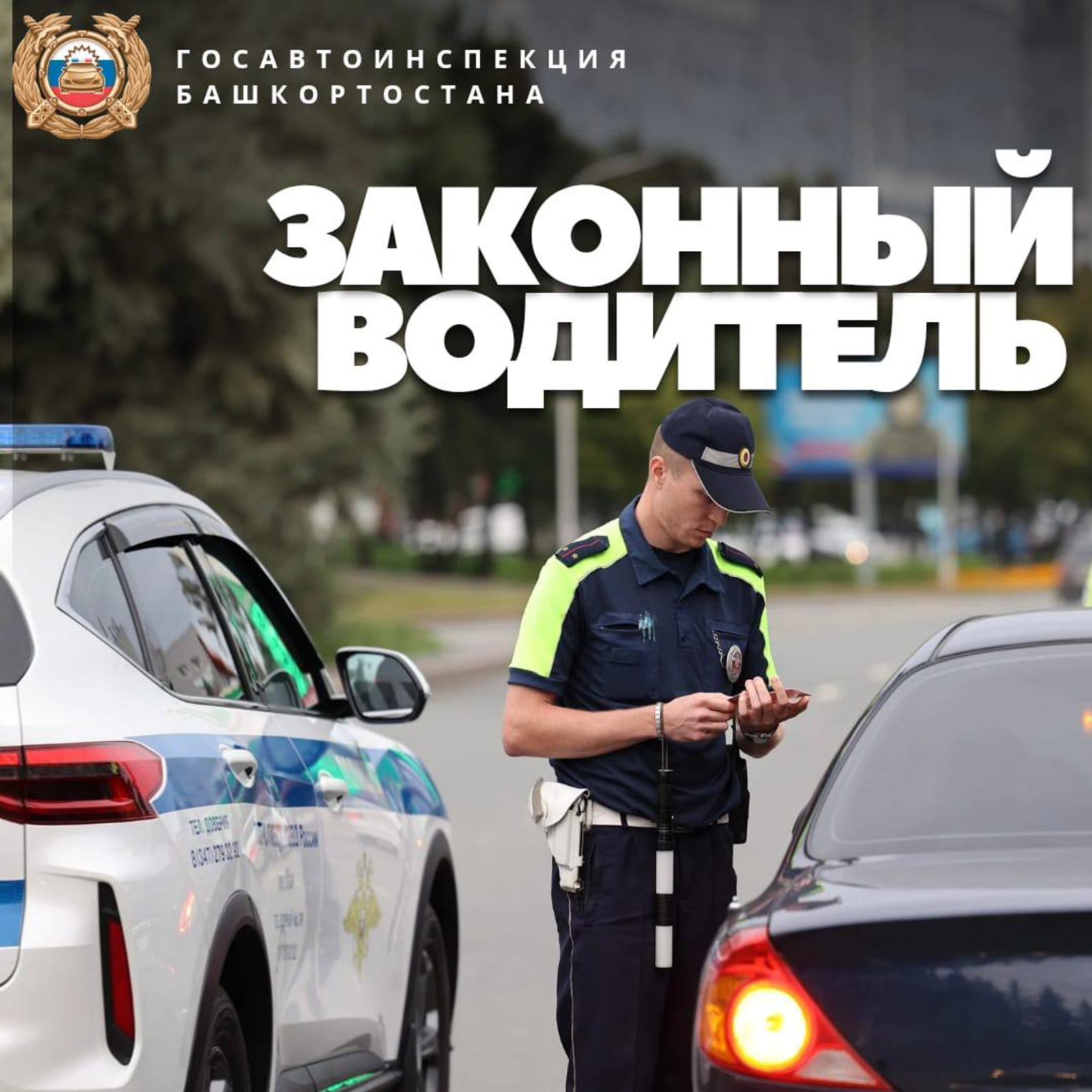 Профилактическое мероприятие "Законный водитель"