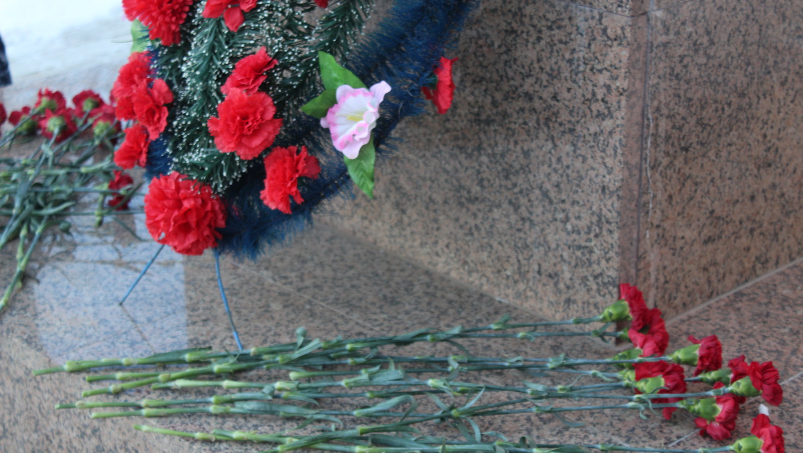 Карина Гайсина  9 декабря наша страна отмечает День Героев Отечества