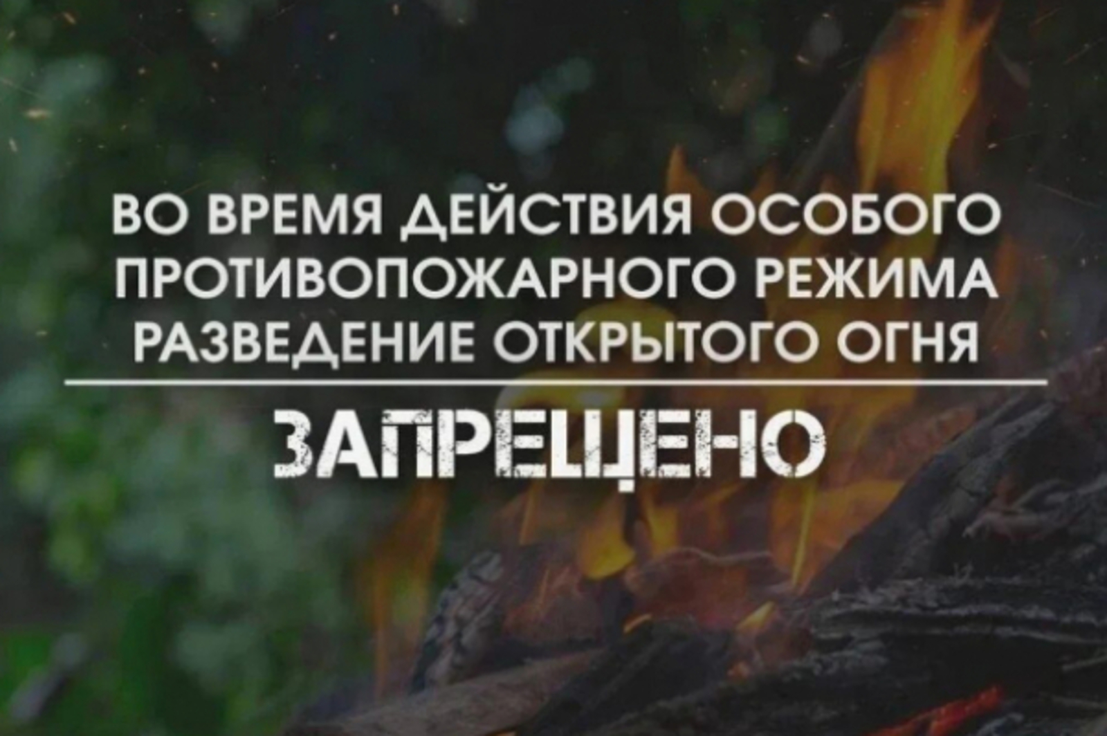 В Республике Башкортостан продолжает действовать особый противопожарный режим