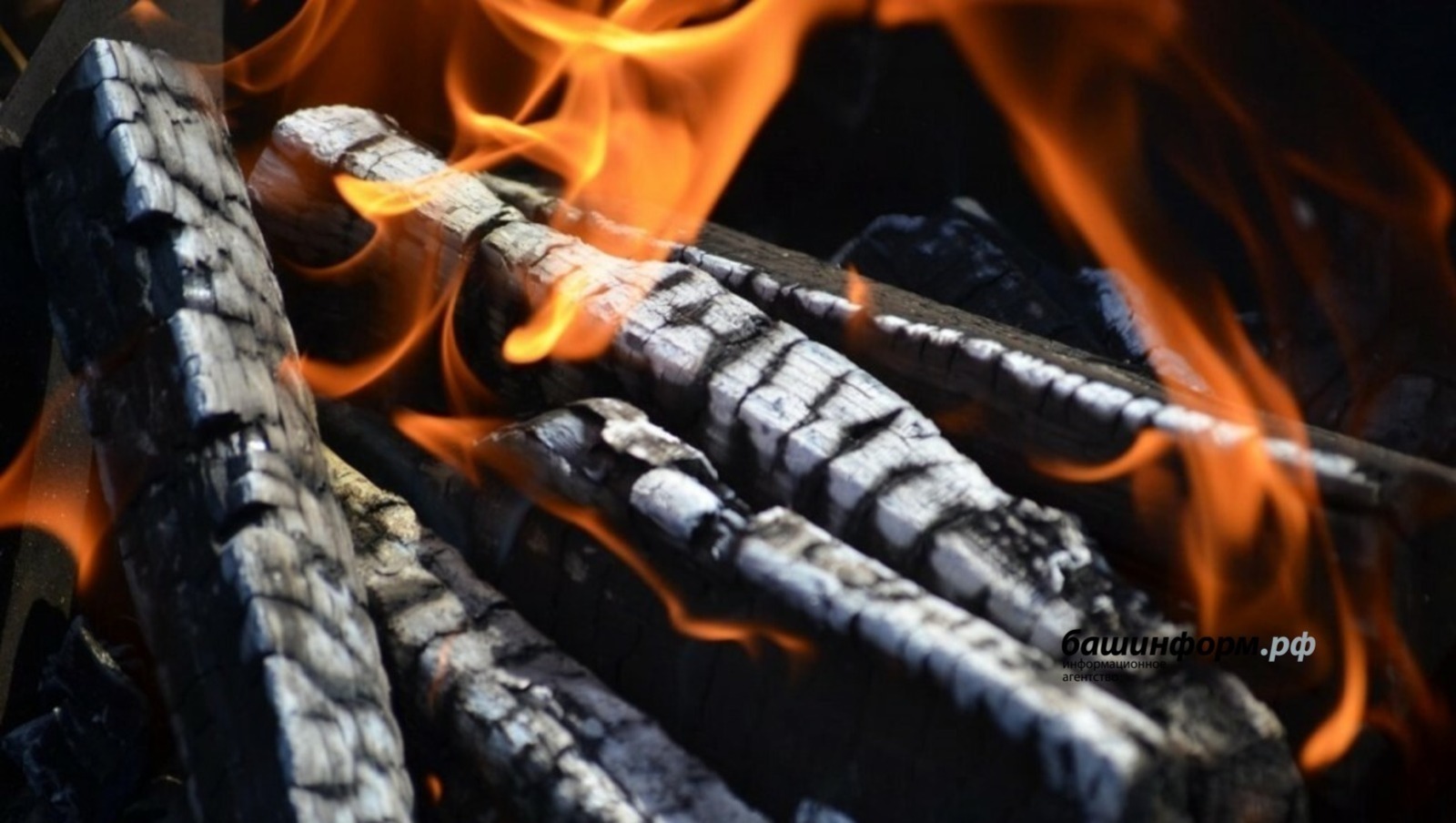 В сентябре в лесах Башкирии сохранится высокий уровень пожароопасности