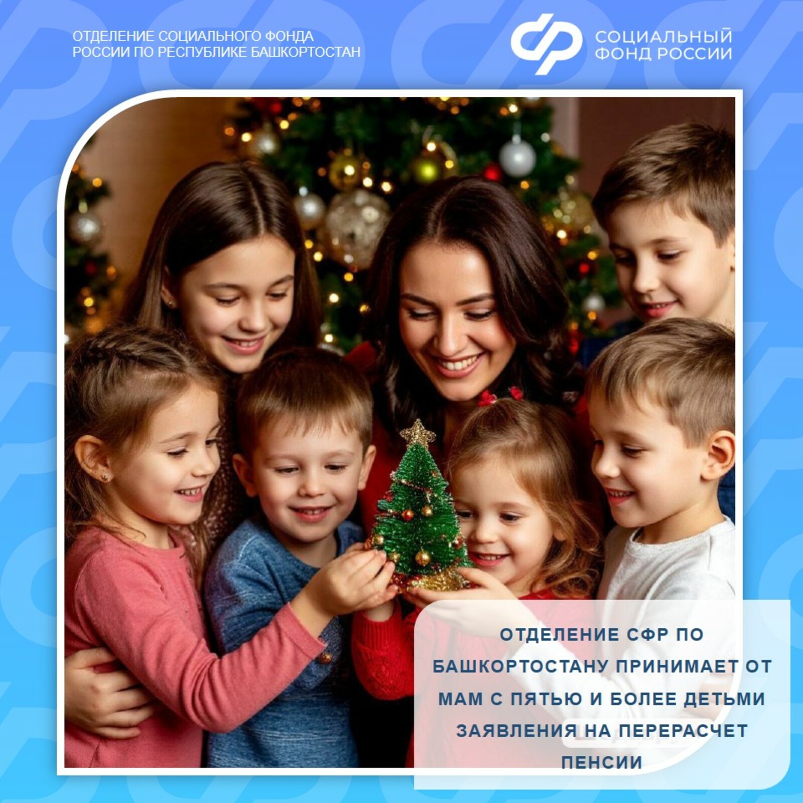 СФР принимает от мам с пятью и более детьми заявления на перерасчет пенсии