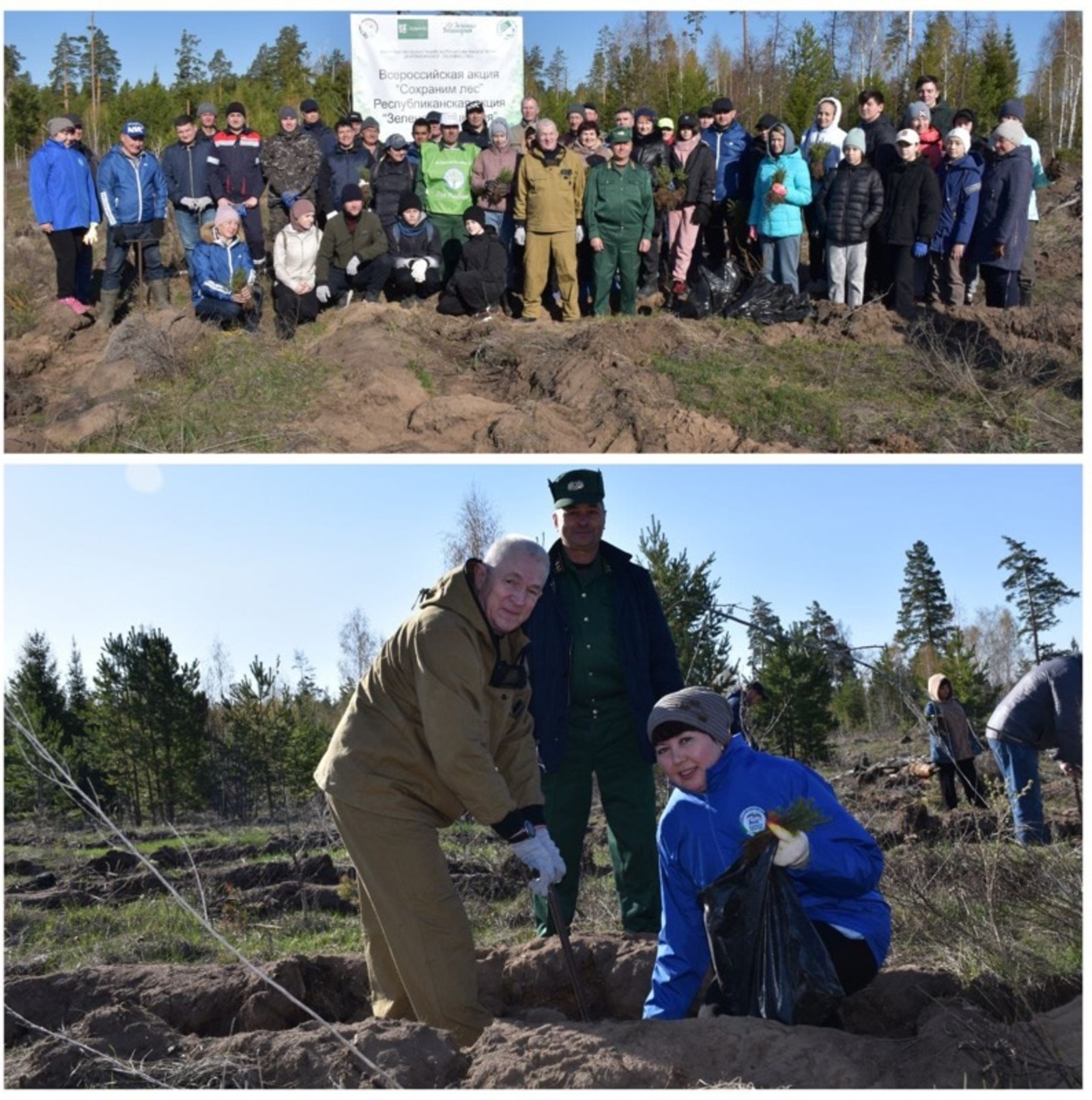 Более 4 тысяч деревьев посажено в Дюртюлинском районе в рамках акции «Зелёная Башкирия»