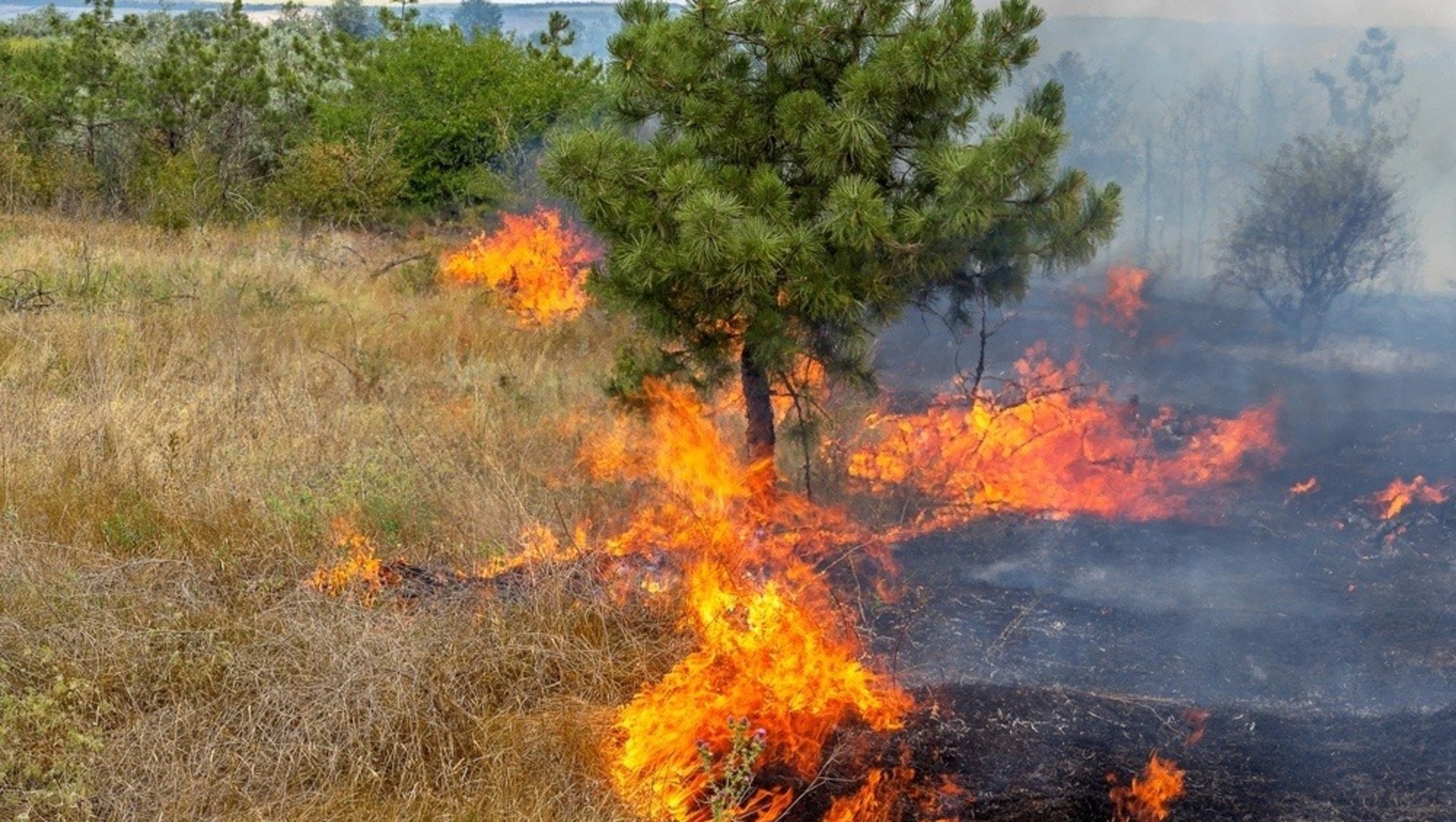 С 27 июля по 1 августа в Башкирии ожидается чрезвычайная пожароопасность