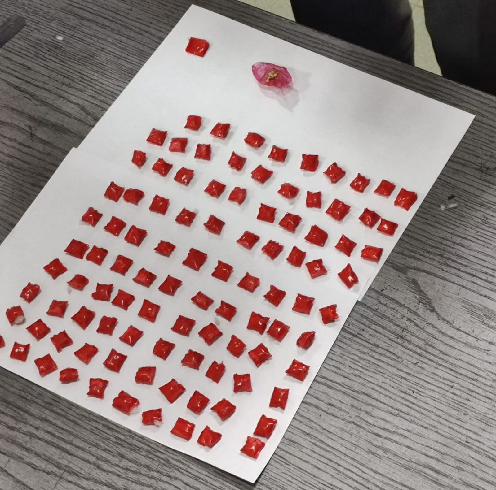 Транспортные полицейские Уфы выявили пассажира поезда, перевозящего наркотики