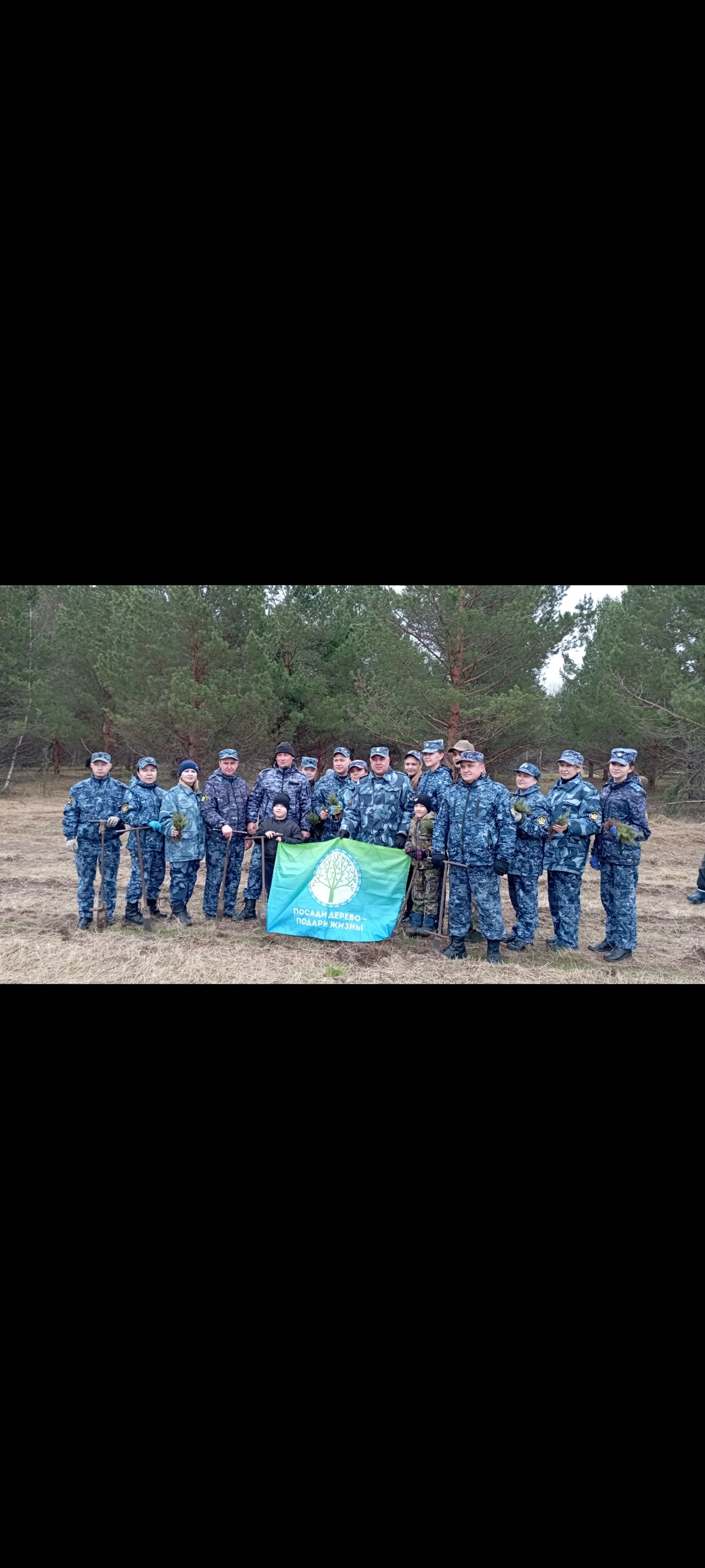 Будут радовать долгие годы